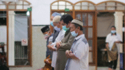 روغتیا سکتور