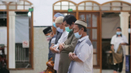 روغتیا سکتور