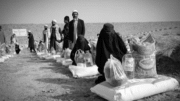 ه ایرانه د ایستل
