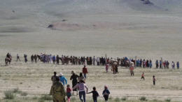 د افغان کډوالو