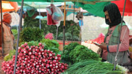 مېوه بهر ته صادره