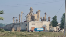 کندهار کې کورني تولیدات