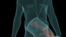 د سرحدي پولیسو