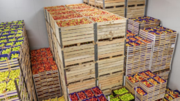 د افغانستان د وچې مېوې