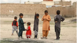 هر ماه ۵۰ قربانی