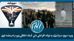 ویره د یوې ستراتیژۍ