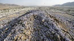عرفه