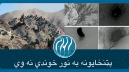 پټنځایونه به نور خوندي نه وي